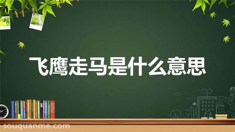 飞鹰走马是什么意思 飞鹰走马的拼音 飞鹰走马的成语解释